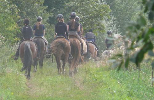 Parkland-Haus Dalwitz - Foto 18