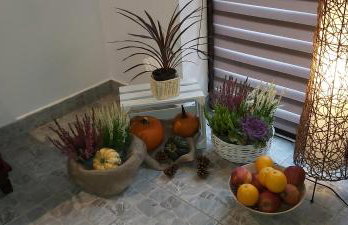 Leśna Chata Kaszuby - Foto 26