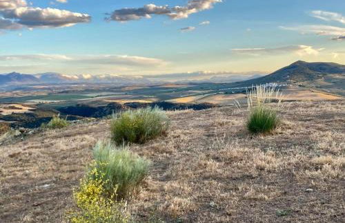 Dehesilla Olive Orchard Retreat - Foto 33