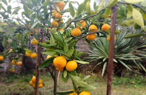 Peaks & Waves Apartment - Photo 25