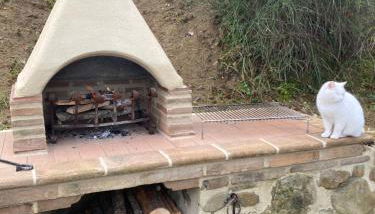 Oltrebosco Casa Vacanze - Photo 4