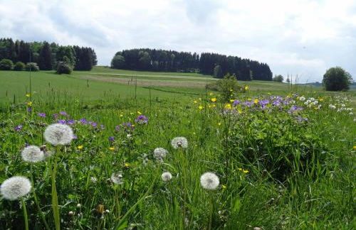 Ferienwohnung Heger - Foto 31