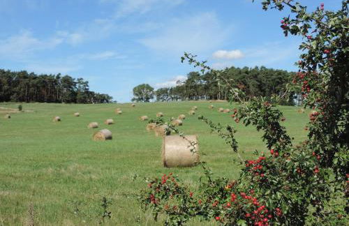Zeit für Erholung, Ferienhaus A&C Usedom - Foto 14