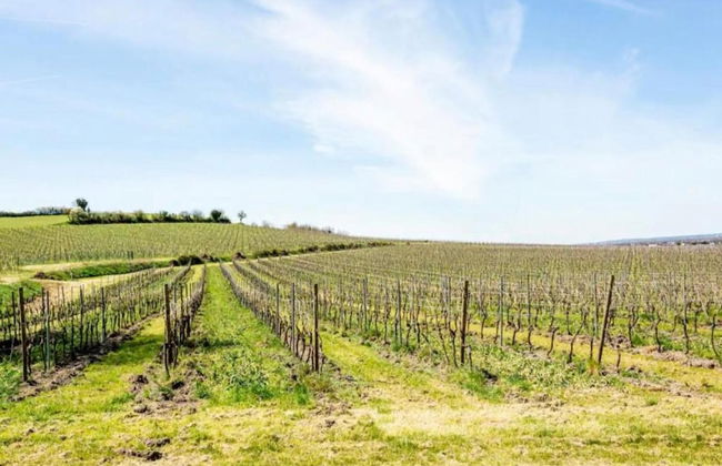 Luxury Apartment With Terrace, Sauna, Tennis, Pool - Foto 53