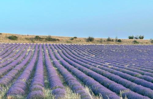 A beautiful 2 persons studio in a chateau with swimming pool - Foto 49