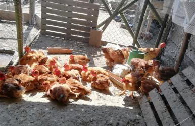 My Portugal for All - Lousada Villa - Foto 55