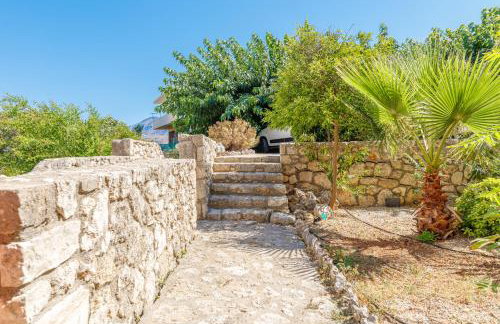 Bougainvillea - Foto 48