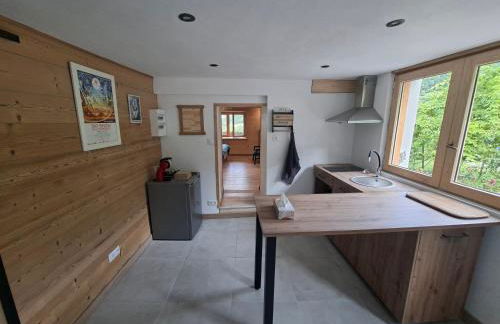 Appartement du bois des Fugiers - Foto 8