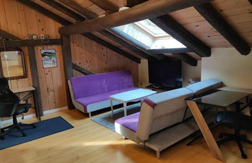 Charmant studio dans ferme avec terrasse et parking - montagnes des Vosges - FR-1-589-164 - Foto 18