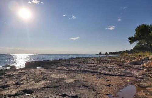 Villa Lucia Umag - Photo 51