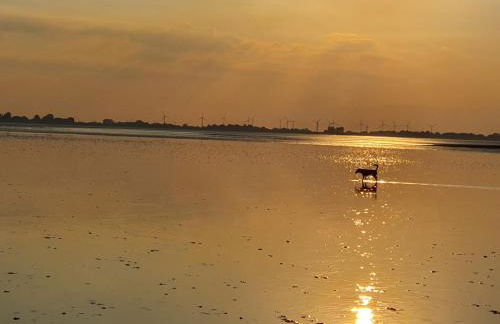 Ferienwohnung Lena - Foto 24