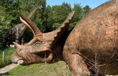 Auszeit am Alfsee, inklusive Dinopark und Indoorspielplatz - Foto 19