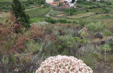 Casa La Cañada - Foto 21