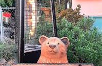 HARRY'S MAN CAVE - A Vintage Motel on the Historic 395 route - The New Star Motel Experience - Foto 2