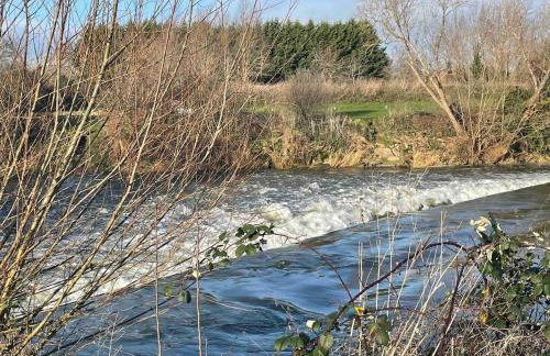 Little Monks Suite - Foto 4