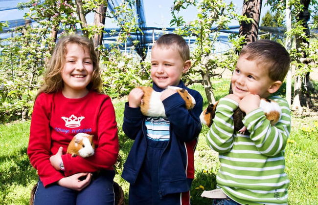 Apartment in Schwalbenhof Farm - Foto 21