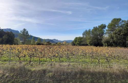 les arbousiers brignoles piscine et spa - Foto 32