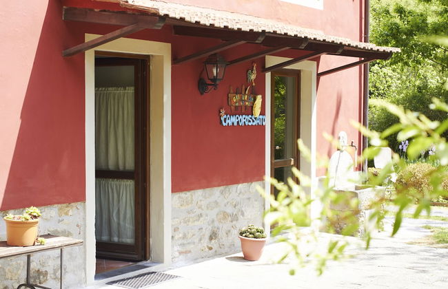 Podere Campofossato - Photo 39