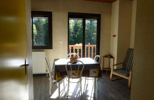 Residence LUDOVIC appartement GENET - Foto 6