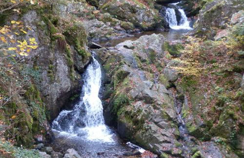 Eco-friendly chalet with private hot tub, Vosges mountain - Foto 17