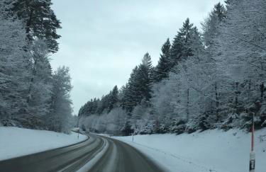 Blackforest Apartment - Foto 48