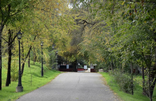 Finca La vega - Foto 79