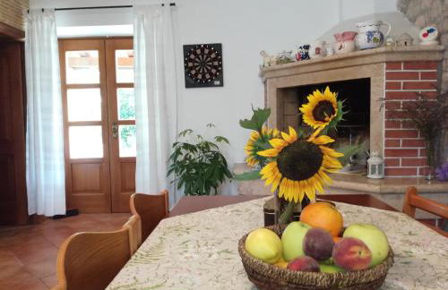 Apartment PARENZANA, little row HOUSE with big green yard in central Istria - Foto 36