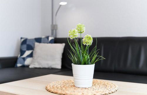 Ferienwohnungen im Haus Flinthörn - Photo 5