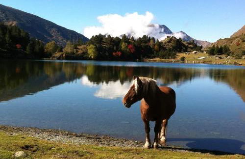 Gran apartamento en Bellver ideal familias - Foto 38