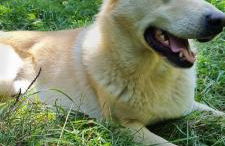 Casa de Forno - Foto 19