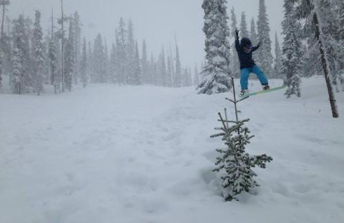 Charming and Cozy Private Home Walking Distance to Downtown - Foto 7