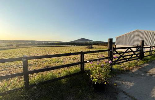 Cottage Farmhouse - Photo 29