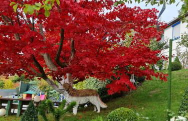 Ferienhaus Haus Herzog - Foto 11