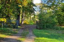 The Cottages - Pet Friendly - Photo 18