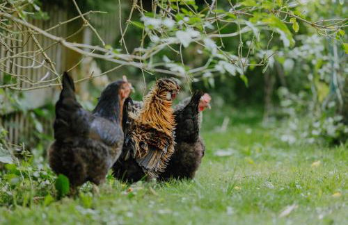 Ferienwohnung Linda - Foto 15