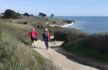 Le Cormoran - Foto 9