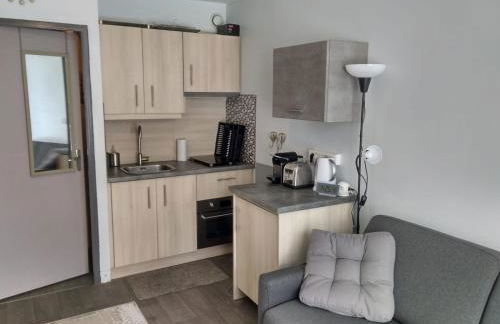 Studio au cœur des Volcans d Auvergne - Murol - Foto 21