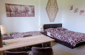 Willa Rąbanisko z sauną fińską - Foto 33