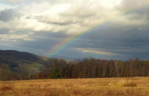 Wild Blue Yonder - Foto 30