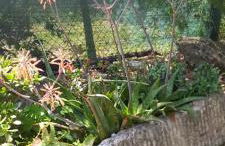 La Casetta di Ross - Foto 7