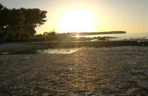 Apartments KUS Ugljan - Photo 29