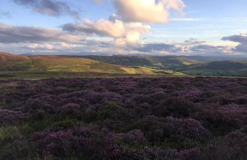 Nant-Y-Glyn - Foto 34