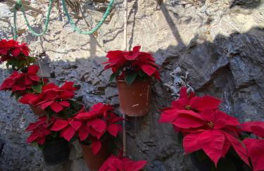 Casa en Alcazaba - Foto 11