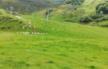 Pleine nature Pied pistes Piscine chauffée - Foto 57