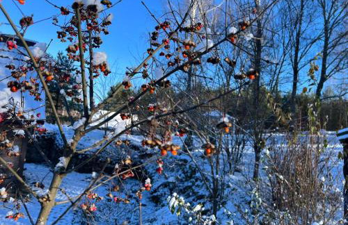 Drewniany Domek w Zakątku Andrzeje Śniczany 18 - Photo 73