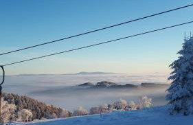 Smrek Sokolec Agroturystyka - Foto 38