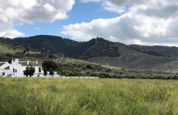 Cortijo Alzamigaja - Foto 55