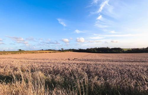 Gîte Familial 3 étoiles - Maison Kidour - Foto 15
