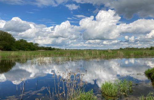 Oderbruch26 mit Sauna-Option - Foto 15