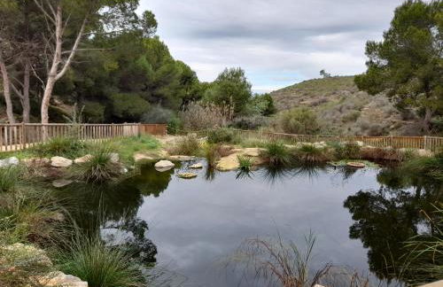 Vista Soleada - Photo 22